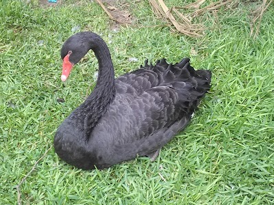 Photos of Leon Zoo