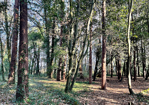 Holes Bay Cycleway - Thumbnail