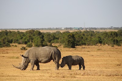 Photos of Ol Pejeta Conservancy