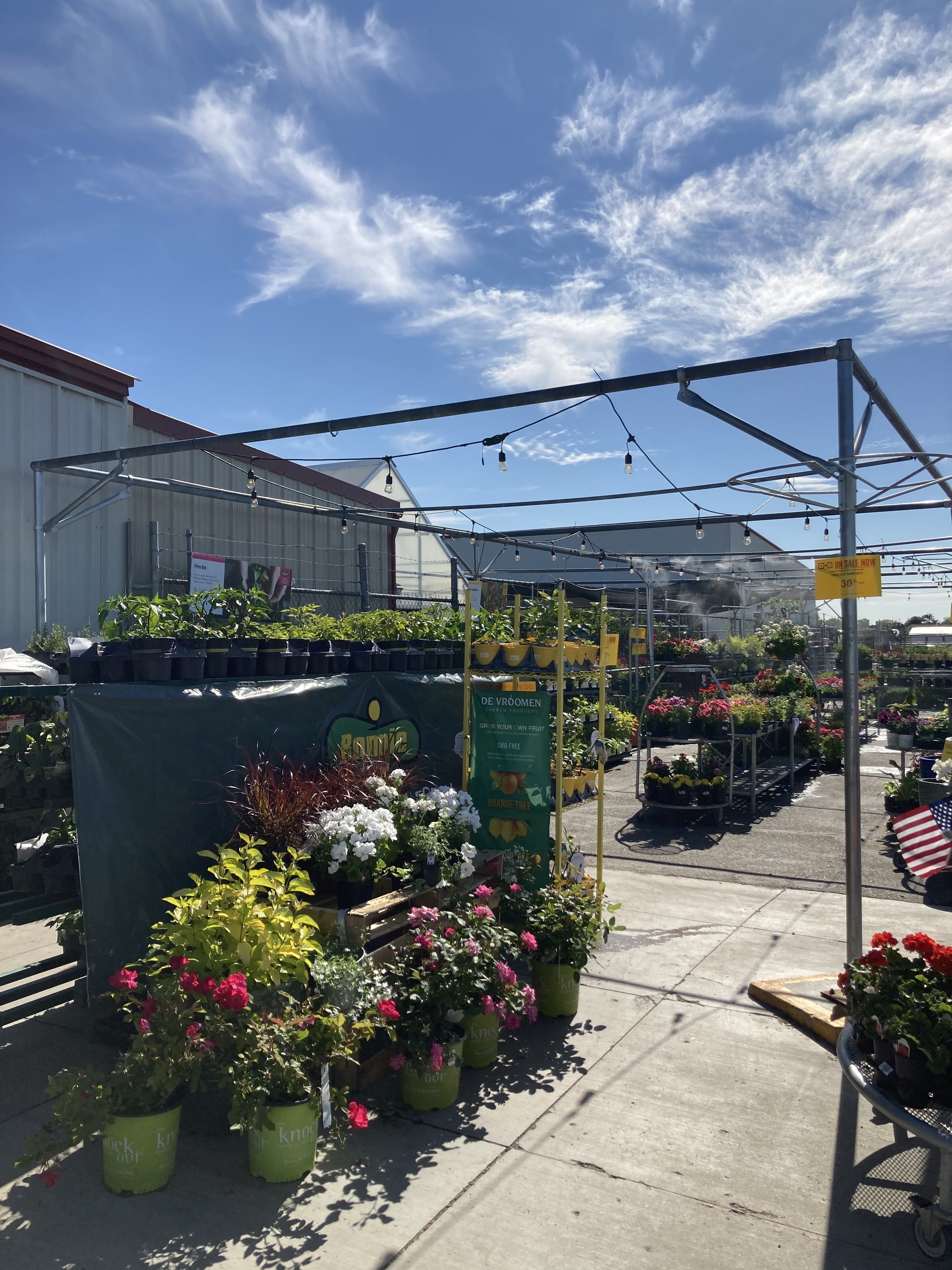 D&B Supply Ontario