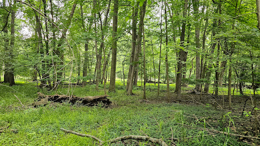 Scott Woods Park