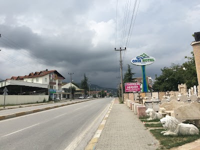 Photos of Onis Hotel