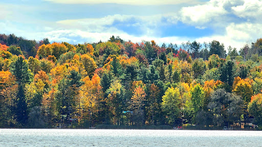 End Path Lake View - Visual
