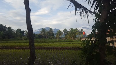 Photos of Matra Bungalows