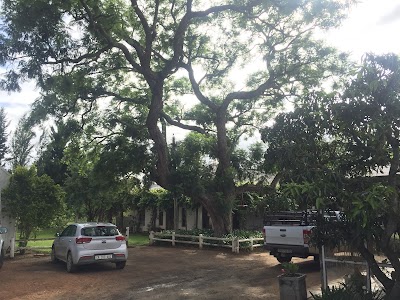 Photos of Addo's White House
