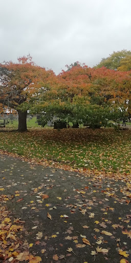 Howden Cemetery - Thumbnail