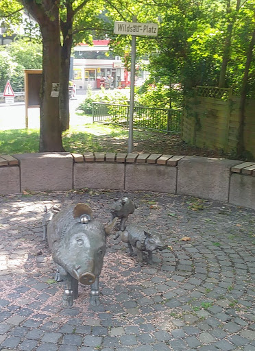 Wildsauplatz Martinsthal - Thumbnail
