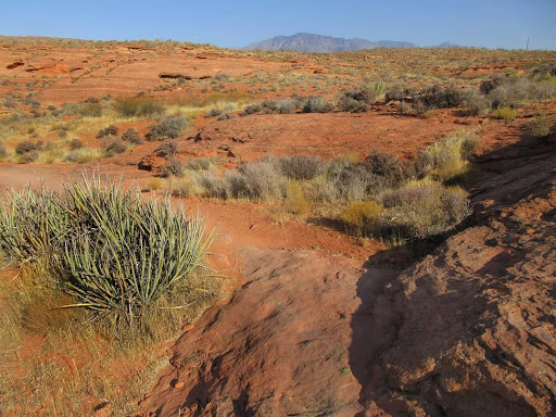Dino Cliffs Trailhead - Thumbnail