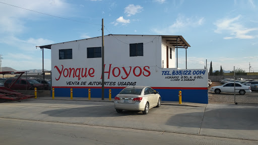 Yonque Hoyos - Visual