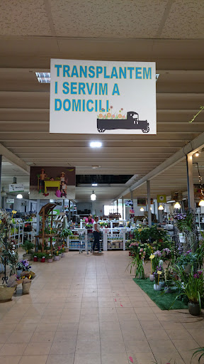 Germinova - Visual