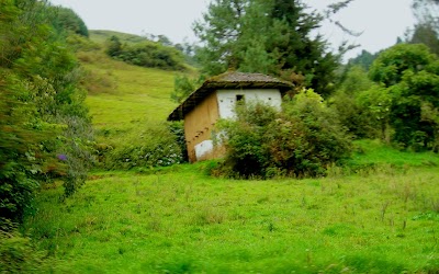 Photos of All Things Alpaca Ecuador