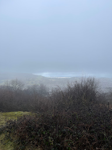 Ochrwyth - Visual
