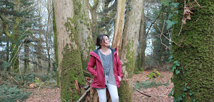 Photo n°9 de Sophrologie Bain de Forêt Sylvothérapie Landerneau à Landerneau (Programme de bien-être)