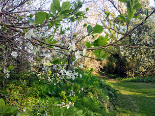 Photo n°17 de Gîtes de Penbran /// Ti Izela, Ti Uhela et Ti Kreiz à Saint-Urbain (Lodge)