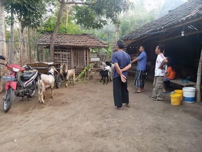 Photos of Rumah Pak SENO