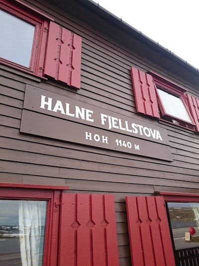 Photos of Halne Fjellstova