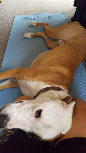 Yoga-nua - Thumbnail