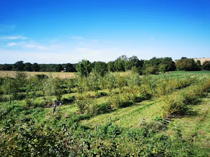 Photo n°4 de Mawa'gem à Saint-Élix-d'Astarac (Magasin)