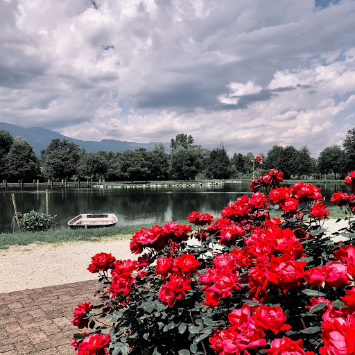Farm Lake Orzaie - Thumbnail