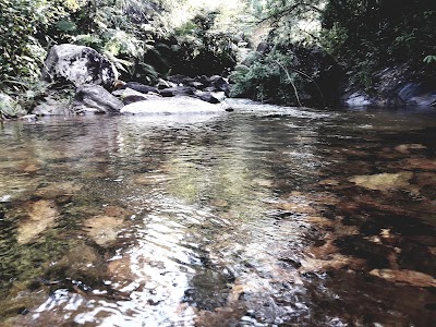 Photos of Kudumeeriya Forest Resever