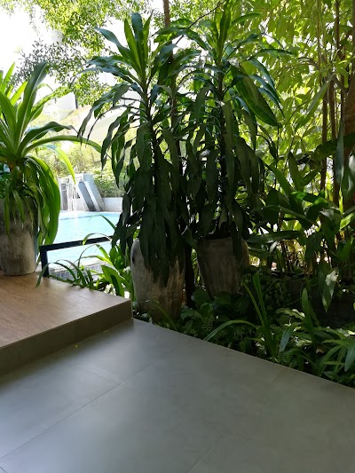 Photos of Chronivada Residence