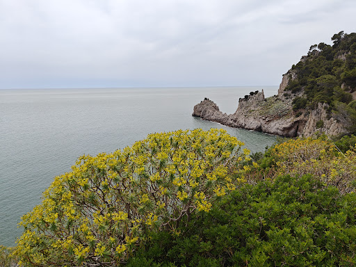 Panoramica Capovento - Thumbnail