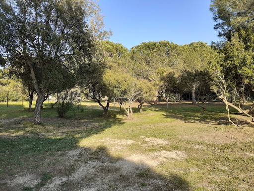 Parco delle Dune - Thumbnail