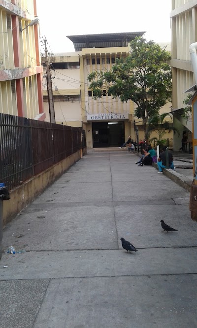 university