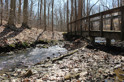 HopeWood Pines (Lutheran Memorial Camp) Gallery - United States