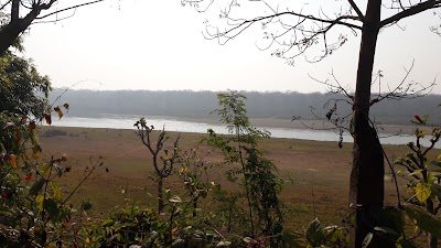 Photos of Into the Wild Eco Resort