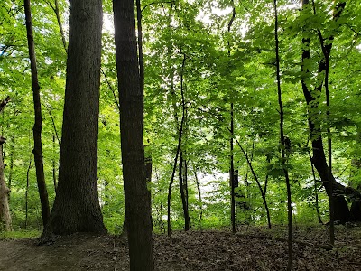 Hammel Woods - DuPage River Access