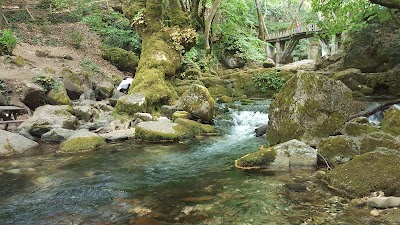 Ayazma Spring Nature Park