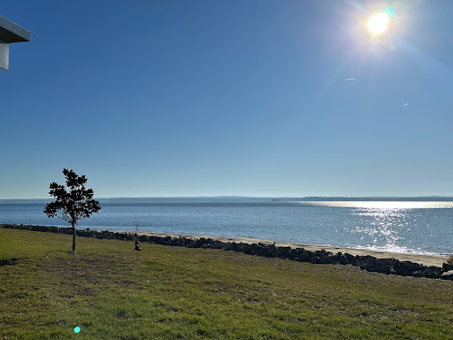 Rayburn Park - Visual