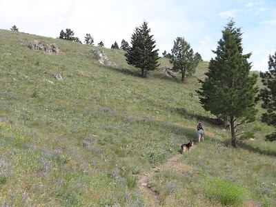 Mt Helena Ridge Trailhead