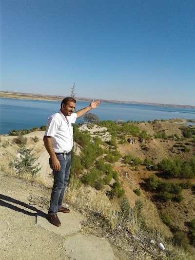 Photos of Menzil Pide Fırını