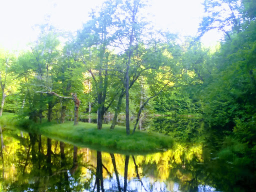 Black River Canal - Thumbnail