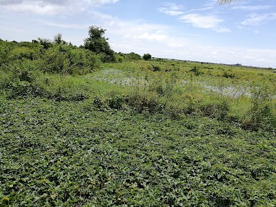 Photos of Tonlesap Phom Krom, Siem Reap Province