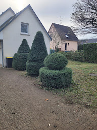 Photo n°14 de Atlas Paysage à Wittelsheim (Paysagiste)