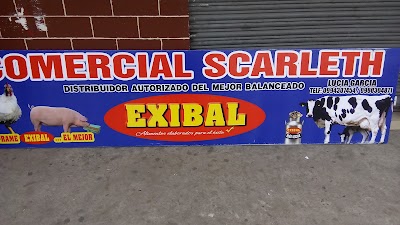 Photos of Comercial " Scarleth"