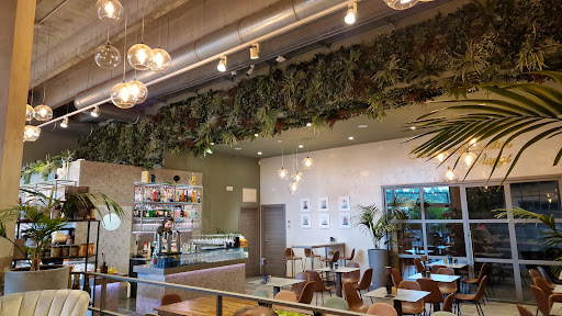 Bar Hedera - Thumbnail