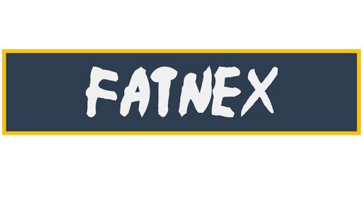 Fatnex Store - Visual