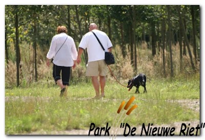 Adults Only Camping "De Nieuwe Riet"