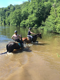 Photo n°10 de Écurie des Monts - Le Hom Equitation à Thury-Harcourt-le-Hom (Centre équestre)