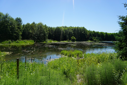 Chinook Bend Natural Area
