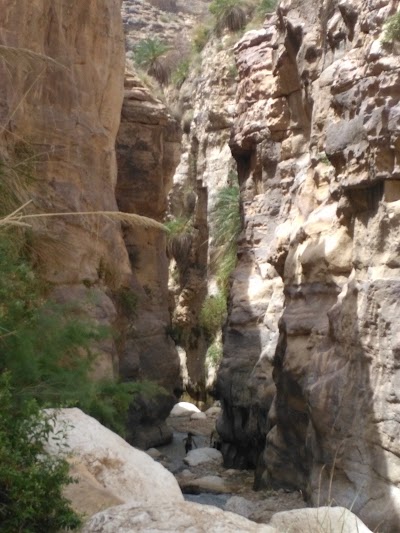 Photos of Wadi Bin -Hammad hot springs