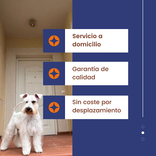 La Tienda de Billie ecommerce Logo