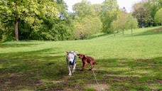 Linn Park glasgow