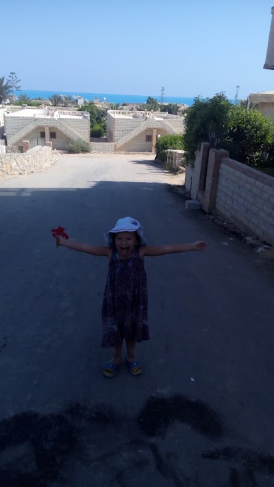 Photos of aida Sahel