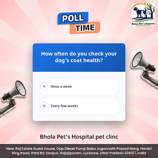 Bhola Pet's Hospital is your trusted pet clinic offering comprehensive veterinary care, grooming,… post image