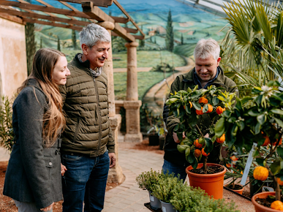 Viellieber Gartengestaltung & Floristik KG